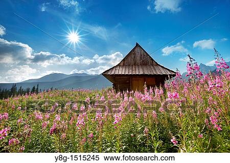 Stock Photography - Gasienicowa Valley, Tatra National Park, Poland, Europe. Fotosearch