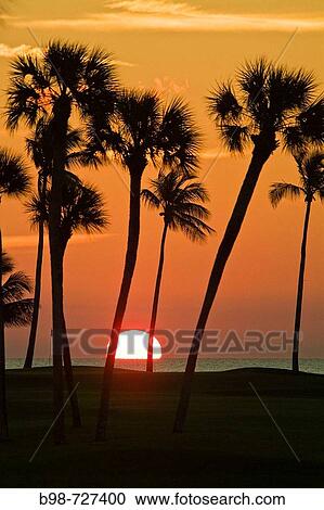 Gasparilla Island Inn and Club, Golf Course with palm trees by the sea View Large Photo Image Stock Image - Gasparilla Island Inn and Club, Golf Course with palm trees by the sea. Fotosearch