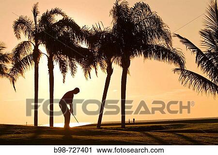 Gasparilla Island Inn and Club, Golf Course with palm trees by the sea View Large Photo Image Stock Image - Gasparilla Island Inn and Club, Golf Course with palm trees by the sea. Fotosearch