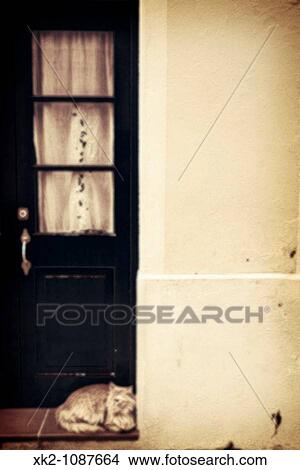 gat descansant al portal d? una casa al casc antic de Ciutadella de Menorca, Illes Balears View Large Photo Image Picture - gat descansant al portal d? una casa al casc antic de Ciutadella de Menorca, Illes Balears. Fotosearch