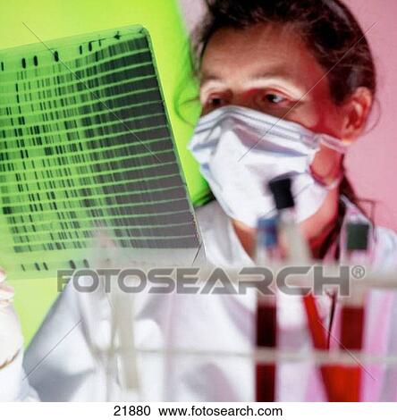 Genetic research View Large Photo Image Stock Image - Genetic research. Fotosearch