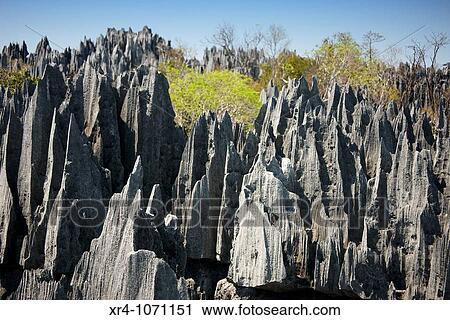Stock Image - Geological formations, Tsingy de Bemaraha National Park, Mahajanga, Madagascar. Fotosearch