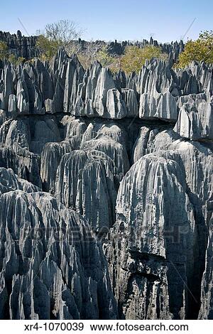 Geological formations, Tsingy de Bemaraha National Park, Mahajanga, Madagascar View Large Photo Image Stock Photo - Geological formations, Tsingy de Bemaraha National Park, Mahajanga, Madagascar. Fotosearch
