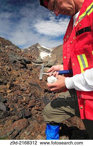 Geologist doing fieldwork, Hudson Bay Mountain, Smithers, British Columbia. View Large Photo Image Stock Image - Geologist doing fieldwork, Hudson Bay Mountain, Smithers, British Columbia.. Fotosearch