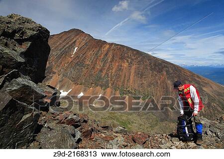 Geologist exploring for minerals, Hudson Bay Mountain, Smithers, British Columbia. View Large Photo Image Stock Image - Geologist exploring for minerals, Hudson Bay Mountain, Smithers, British Columbia.. Fotosearch