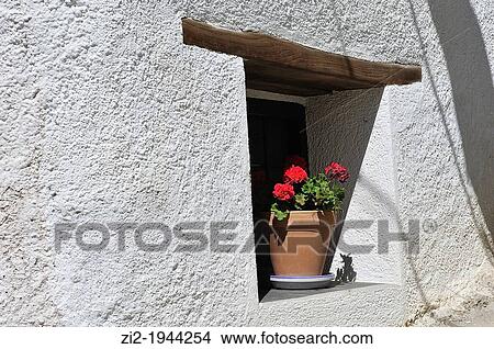 Geraniums in the window. Mecina-Fondales, Las Alpujarras. Granada, Spain View Large Photo Image Picture - Geraniums in the window. Mecina-Fondales, Las Alpujarras. Granada, Spain. Fotosearch