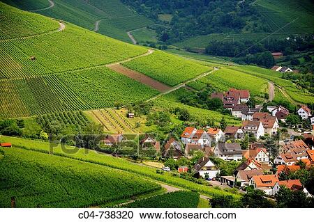 Germany, Baden-W? rttermberg, vineyards View Large Photo Image Stock Image - Germany, Baden-W? rttermberg, vineyards. Fotosearch