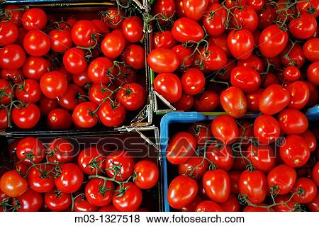 Germany Bavaria Berchtesgaden land Bavarian fruits and vegetables in market tomatoes View Large Photo Image Stock Photo - Germany Bavaria Berchtesgaden land Bavarian fruits and vegetables in market tomatoes. Fotosearch
