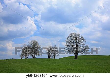 Germany, Bavaria, Upper Bavaria, Bodelsberg View Large Photo Image Picture - Germany, Bavaria, Upper Bavaria, Bodelsberg. Fotosearch