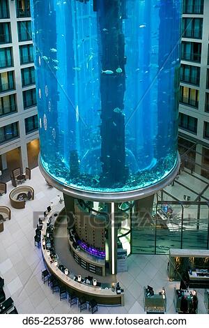 Germany, Berlin, Museum Insel, Radisson Blu Hotel interior, aquarium. View Large Photo Image Stock Photograph - Germany, Berlin, Museum Insel, Radisson Blu Hotel interior, aquarium.. Fotosearch