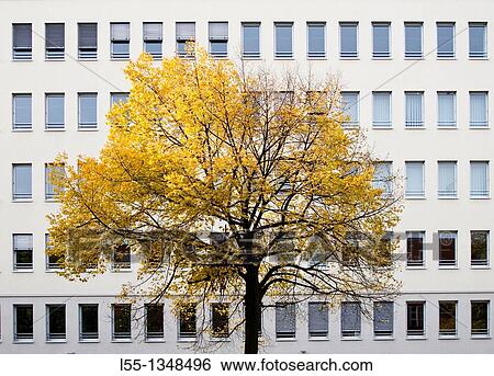 Germany, Berlin View Large Photo Image Stock Photograph - Germany, Berlin. Fotosearch