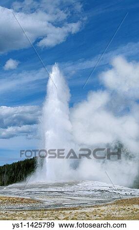 GEYSER IN YELLOWSTONE NATIONAL PARK, WYOMING View Large Photo Image Stock Photo - GEYSER IN YELLOWSTONE NATIONAL PARK, WYOMING. Fotosearch