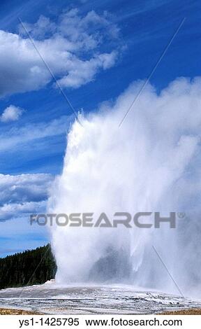 GEYSER IN YELLOWSTONE NATIONAL PARK, WYOMING View Large Photo Image Stock Photography - GEYSER IN YELLOWSTONE NATIONAL PARK, WYOMING. Fotosearch