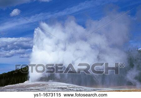 Stock Photography - Geyser in Yellowstone National Park, Wyoming. Fotosearch