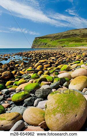 Stock Image - Giant rounded cobblestones lining the beach at Rackwick Isle of Hoy, Orkney Islands Scotland. Fotosearch