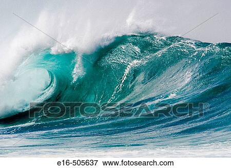 Giant wave, Hawaii (USA) View Large Photo Image Stock Photo - Giant wave, Hawaii (USA). Fotosearch