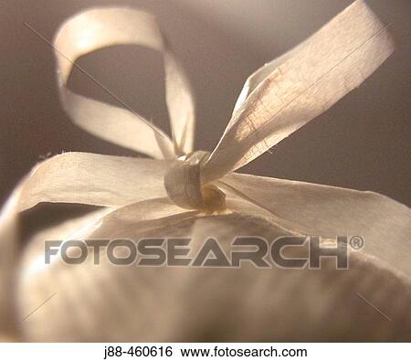 Stock Photograph - Gift. Fotosearch