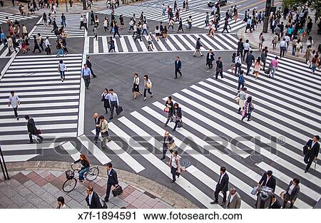 Ginza Harumi St at Nishi Ginza St Tokyo city, Japan, Asia View Large Photo Image Stock Image - Ginza Harumi St at Nishi Ginza St Tokyo city, Japan, Asia. Fotosearch