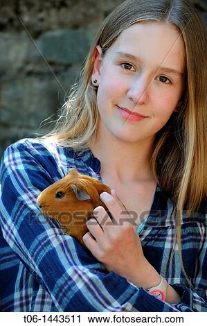 Girl - 13 year old - holding Guin? a pig Cavia porcellus France View Large Photo Image Stock Image - Girl - 13 year old - holding Guin? a pig Cavia porcellus France. Fotosearch
