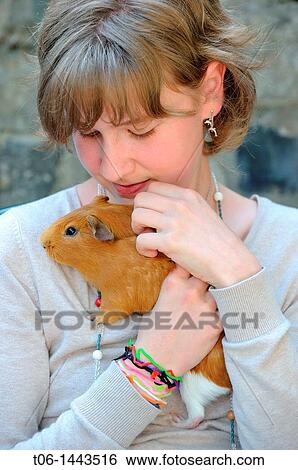 Girl - 13 year old - holding Guin? a pig Cavia porcellus France View Large Photo Image Stock Photograph - Girl - 13 year old - holding Guin? a pig Cavia porcellus France. Fotosearch