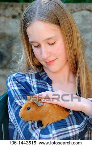Girl - 13 year old - holding Guin? a pig Cavia porcellus France View Large Photo Image Stock Photography - Girl - 13 year old - holding Guin? a pig Cavia porcellus France. Fotosearch
