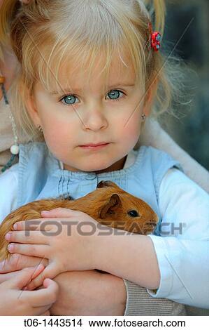 Girl - 3 year old - holding Guin? a pig Cavia porcellus France View Large Photo Image Picture - Girl - 3 year old - holding Guin? a pig Cavia porcellus France. Fotosearch