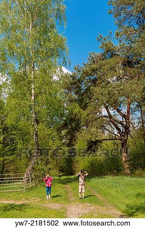 Girl and a boy watching birds through binoculars in a forest. View Large Photo Image Stock Image - Girl and a boy watching birds through binoculars in a forest.. Fotosearch