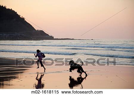 Girl and afghan dog playing in the beach of Deba, Guipuzcoa, Basque Country, Spain View Large Photo Image Stock Photography - Girl and afghan dog playing in the beach of Deba, Guipuzcoa, Basque Country, Spain. Fotosearch