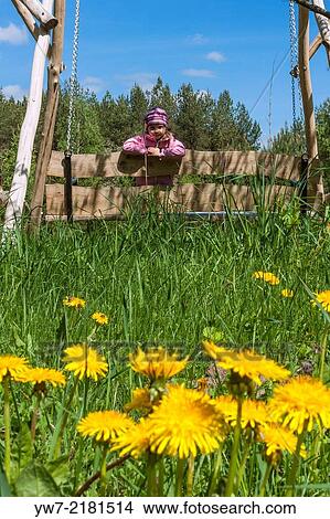 Girl and blossoming dandelions. View Large Photo Image Picture - Girl and blossoming dandelions.. Fotosearch