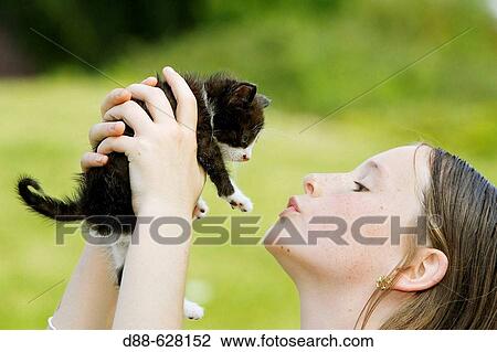 Girl and kitten View Large Photo Image Stock Image - Girl and kitten. Fotosearch