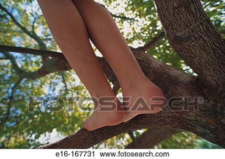 Girl climbing tree View Large Photo Image Stock Image - Girl climbing tree. Fotosearch