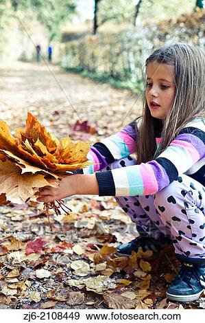 Girl collecting fallen autumn leaves. View Large Photo Image Stock Photo - Girl collecting fallen autumn leaves.. Fotosearch