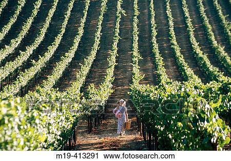 girl going on a picnic in a vinyard View Large Photo Image Stock Image - girl going on a picnic in a vinyard. Fotosearch
