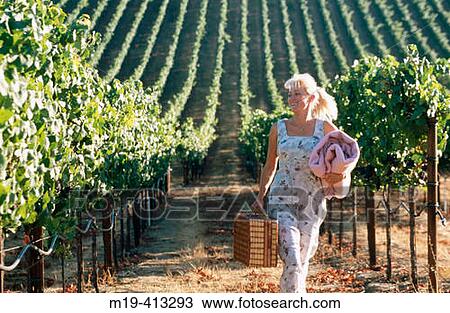 girl going on a picnic in a vinyard View Large Photo Image Stock Image - girl going on a picnic in a vinyard. Fotosearch