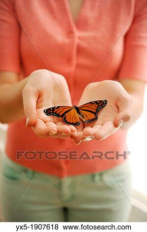 Girl holding a butterfly in her hands View Large Photo Image Stock Photo - Girl holding a butterfly in her hands. Fotosearch