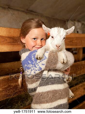 Girl holidng goat kid, Goat farm Iceland View Large Photo Image Stock Image - Girl holidng goat kid, Goat farm Iceland. Fotosearch