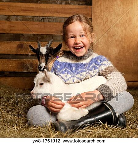 Girl holidng goat kid, Goat farm Iceland View Large Photo Image Stock Image - Girl holidng goat kid, Goat farm Iceland. Fotosearch