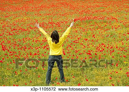 Girl in a poppies field. View Large Photo Image Stock Image - Girl in a poppies field.. Fotosearch