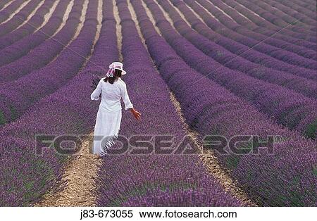 Girl in Lavender field, Plateau de Valensole, Provence, France View Large Photo Image Stock Photography - Girl in Lavender field, Plateau de Valensole, Provence, France. Fotosearch