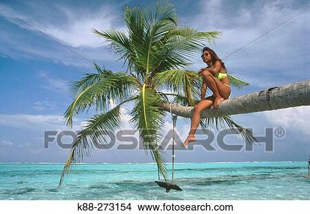 Girl in palm tree. Meerufenfushi Island. North Male Atoll. Maldives View Large Photo Image Picture - Girl in palm tree. Meerufenfushi Island. North Male Atoll. Maldives. Fotosearch