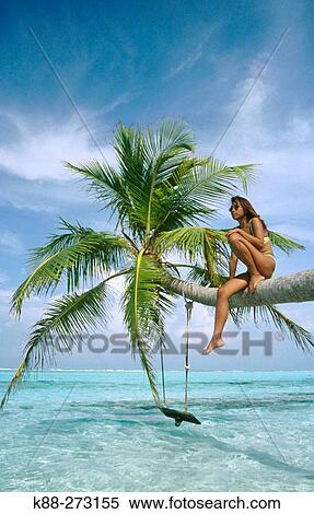 Girl in palm tree. Meerufenfushi Island. North Male Atoll. Maldives View Large Photo Image Stock Photography - Girl in palm tree. Meerufenfushi Island. North Male Atoll. Maldives. Fotosearch