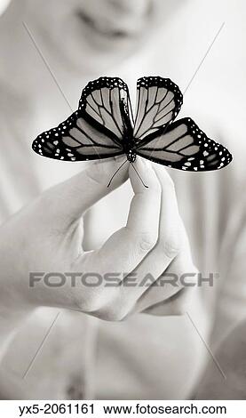 Girl looking at a butterfly in her hands. View Large Photo Image Stock Image - Girl looking at a butterfly in her hands.. Fotosearch