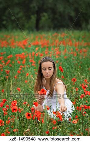 Stock Photo - Girl picking poppies at field. Fotosearch