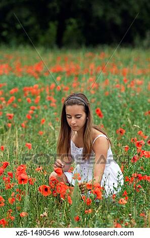 Stock Photograph - Girl picking poppies at field. Fotosearch