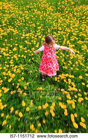 girl playing in field of Dandelions, Zuercher Oberland, Zuerich, Switzerland View Large Photo Image Stock Image - girl playing in field of Dandelions, Zuercher Oberland, Zuerich, Switzerland. Fotosearch