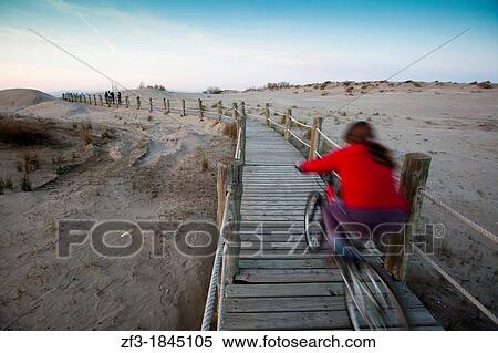Girl riding a bike on wood way in the beach of the Ebro delta, Catalonia View Large Photo Image Stock Photography - Girl riding a bike on wood way in the beach of the Ebro delta, Catalonia. Fotosearch