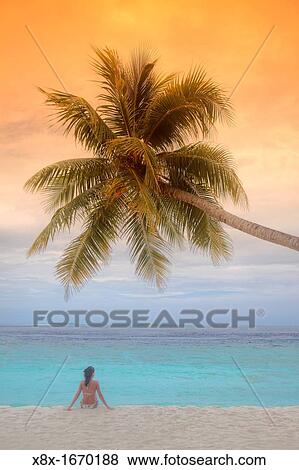 Girl seated under a palm on seashore, Biyadhoo island, Maldives View Large Photo Image Stock Photo - Girl seated under a palm on seashore, Biyadhoo island, Maldives. Fotosearch