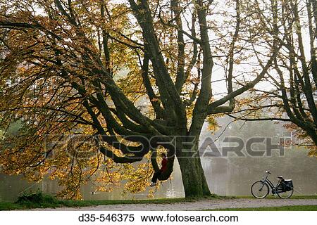 Stock Photography - Girl sitting in tree in Vondelpark, Amsterdam, Holland, Netherlands. Fotosearch
