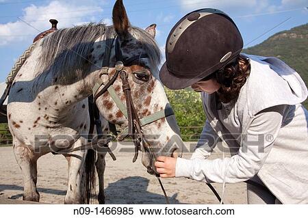 girl takes care of his horse View Large Photo Image Stock Photography - girl takes care of his horse. Fotosearch