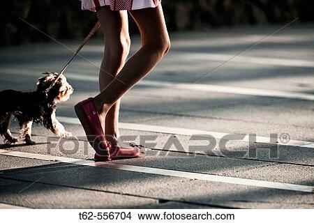 Girl walking her dog. View Large Photo Image Picture - Girl walking her dog.. Fotosearch